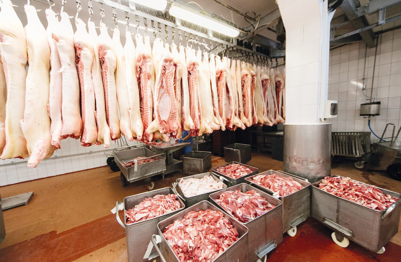 pork carcasses on raw meat factory